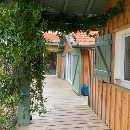 펜션 Maison De A Petit Piquey, Entre Bassin Et Ocean *