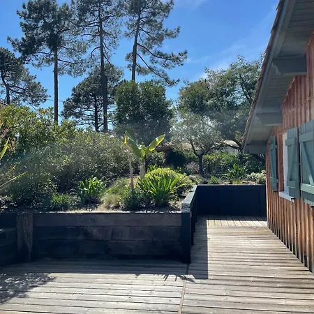 Prázdninový dům Maison De A Petit Piquey, Entre Bassin Et Ocean Lège-Cap-Ferret